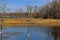 Tractor and manure spreader in a autumn swamp setting