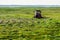 A tractor with a mower mows grass in the lake shore meadows