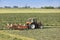 A tractor with a mower in Sassenheim