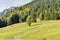 Tractor mowing grass on an alpine lawn