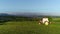 Tractor mowing the grass with beautiful high mountains in the background, aerial view.