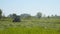 Tractor mowing grass in meadow