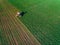 Tractor mowing green field