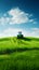 Tractor Mowing Lush Green Hill under Blue Sky. Generative ai