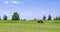 The tractor mows the grass in the meadow. Haymaking in the countryside.