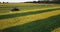 Tractor mows yellow rapeseed field view from drone