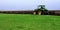 A tractor is ploughed up by the field with storks