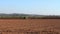 Tractor ploughing field