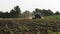 Tractor plowing the black earth plow field at morning overgrown with weeds