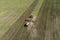 Tractor plowing and fertilizing the agricultural fields in the springtime