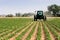 Tractor plowing the fields