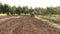 The tractor plows the field, cultivates the soil for sowing grain.