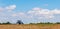 Tractor plows a field, pulling a plow. Agricultural work