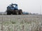 Tractor plows field. Tractor rides on the field and plows arable land.  Details and close-up.