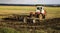 Tractor plows and harrows  land in  large field on  sunny spring day. preparing  soil for planting crops, plowing  soil with