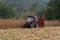 A tractor pulls a corn harvester and picks dry ripe corn in the field