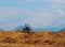 Tractor with a rake hay machine as trailer on a hay field just cutted. Faraway mountains on background