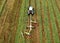 Tractor raking grass for silage harvesting. Agriculture machinery working at field. Grass Silage for animal feeding on the farm.