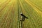 Tractor raking grass for silage harvesting. Agriculture machinery working at field. Grass Silage for animal feeding on the farm.