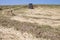 Tractor raking hay over sloped ground