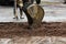 The tractor removes part of the soil with a bucket before asphalting the road for patching. The foreman of builders stands side by