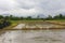 Tractor in rice field, Mechanism farmer rice cultivation