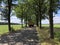 Tractor on a road through the Drents-Friese Wold in Appelscha