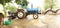 A tractor with seed drill machine in the ground, trees, animals etc.