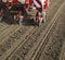 Tractor seeding crops at field.