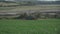 Tractor sowing crops on farm field in the north of france. Agricultural activity Brittany region, France. Tractor