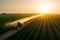 Tractor spray fertilizer on green field drone high angle view, agriculture background concept