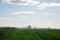 Tractor spray field with chemicals and worker man