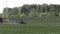 Tractor spray green summer corn field pesticide near wiring pole