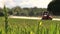 Tractor sprayer work in green young cereal field on summer day