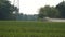 tractor spraying agriculture crop field