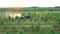 Tractor Spraying Apple Trees In Garden With Fertilizers Aerial View At Sunset