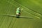 Tractor spraying chemical pesticides with sprayer on the large green agricultural field at spring