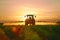 A tractor spraying pesticide on soybean farm at spring sunset.