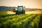 Tractor spraying pesticides fertilizer on soybean crops farm field in spring evening. Generative AI