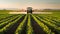 Tractor spraying pesticides at soy bean field.