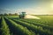 Tractor spraying pesticides on soybean field with sprayer at spring, Tractor spraying pesticides fertilizer on soybean crops farm