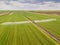 Tractor spraying soil and young crop in springtime in field