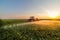 Tractor spraying vegetable field at spring