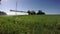 Tractor spraying wheat field with herbicide insecticide pesticide in spring