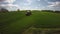 Tractor spraying young wheat field, 4 K