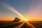 A tractor sprays pesticides on corn fields at sunset generated by ai