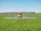 Tractor spreading herbicides over a green field