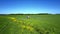 Tractor sprinkles soybean field with chemicals makes traces