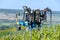 Tractor sprinkles young shoots of grapes on premier cru champagne vineyards in village Hautvillers near Epernay, Champange, France