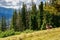 Tractor standing on the hill (Tatra mountains).